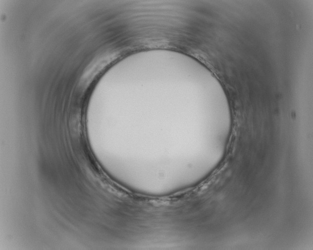 X0000077400194200611172112