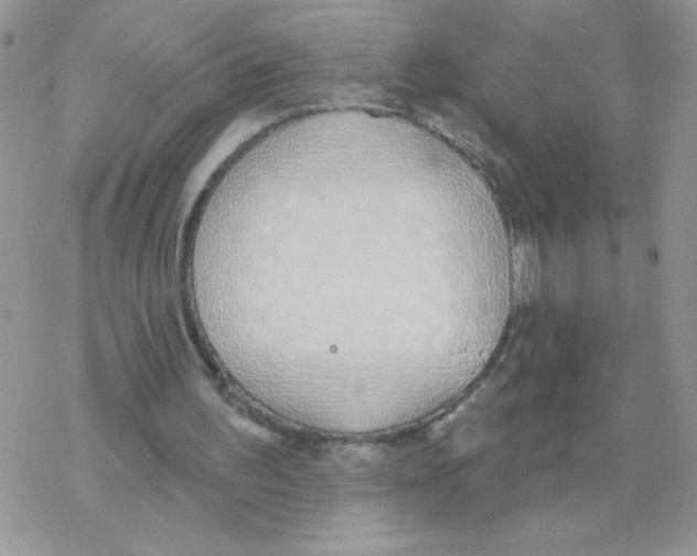 X0000077400195200611172112