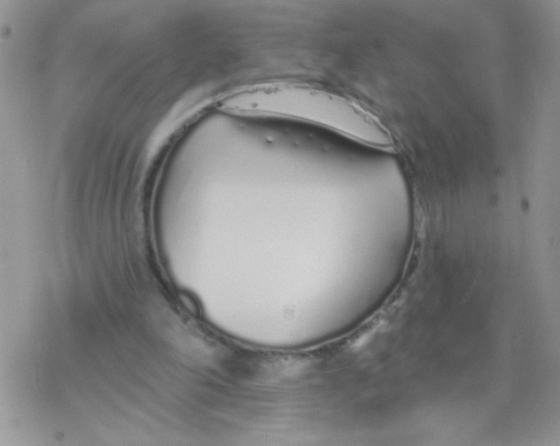 X0000077400198200611172112