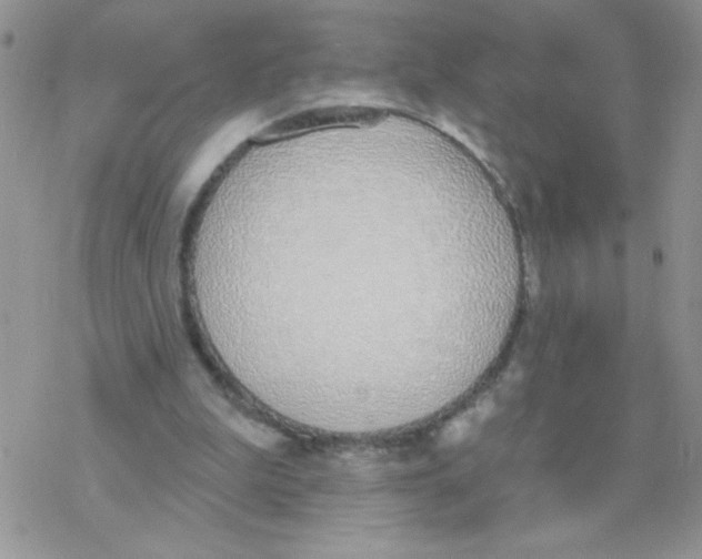 X0000077400199200611172112