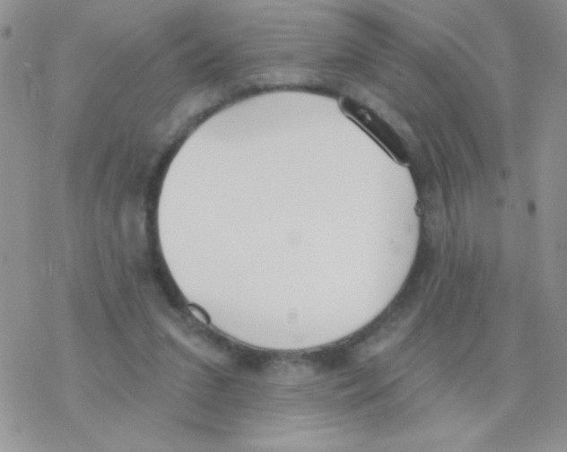 X0000077400207200611172112