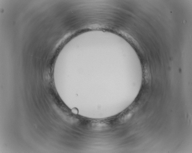 X0000077400208200611172112