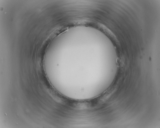 X0000077400209200611172112