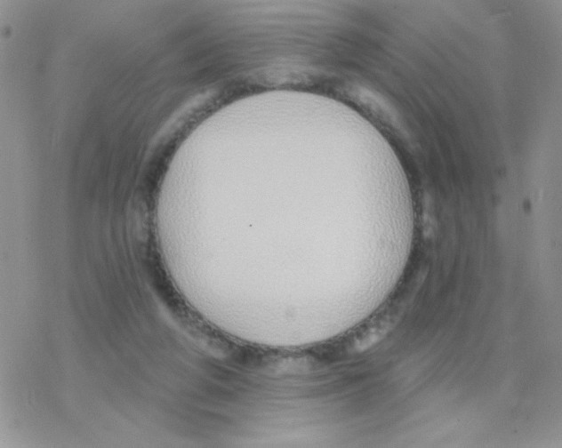 X0000077400210200611172112