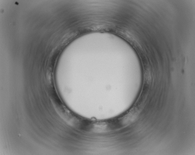 X0000077400214200611172112