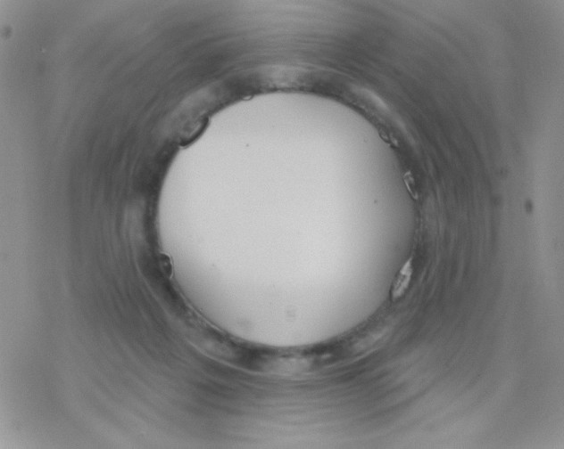 X0000077400217200611172112