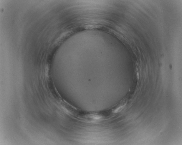 X0000077400219200611172112