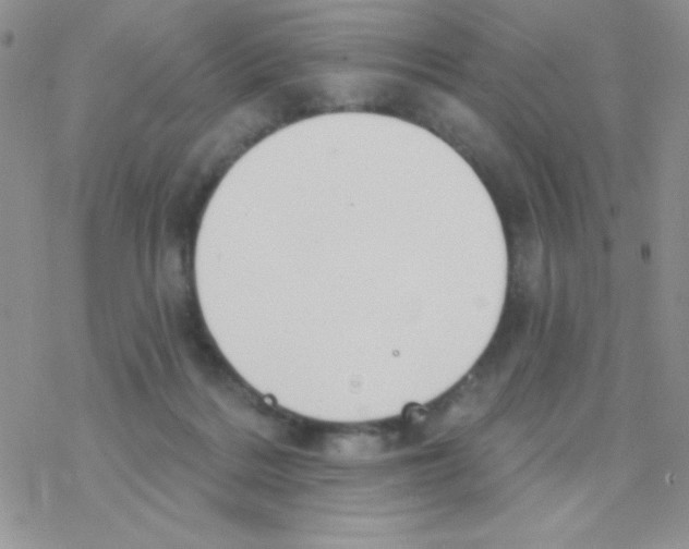 X0000077400220200611172112