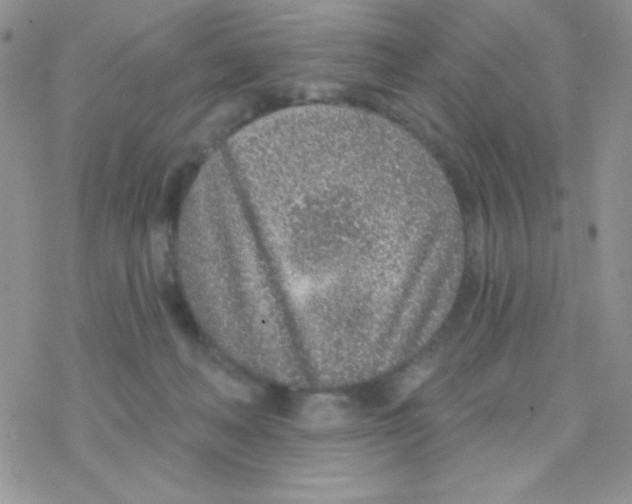 X0000077400222200611172112