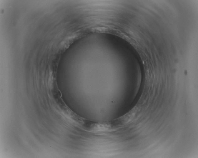 X0000077400223200611172112