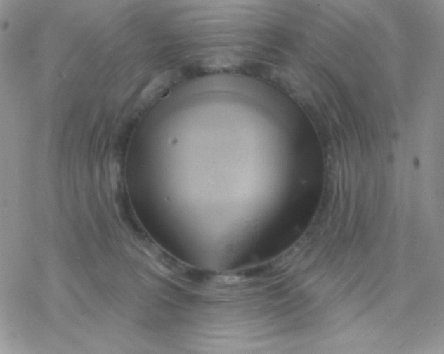 X0000077400227200611172112