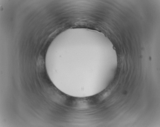 X0000077400228200611172112