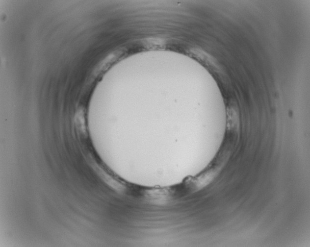 X0000077400238200611172112