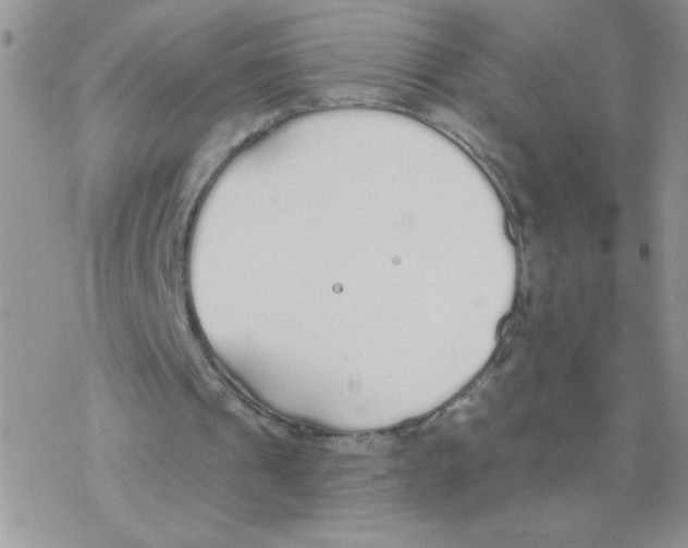 X0000077400241200611172111