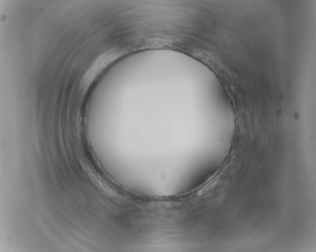 X0000077400242200611172111