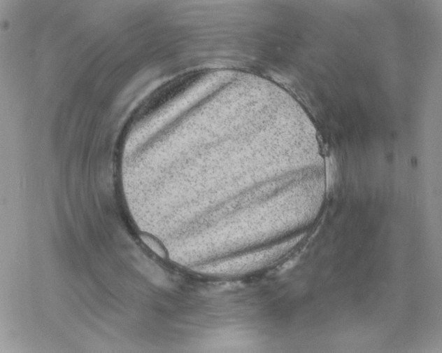 X0000077400243200611172111