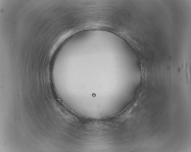 X0000077400244200611172111