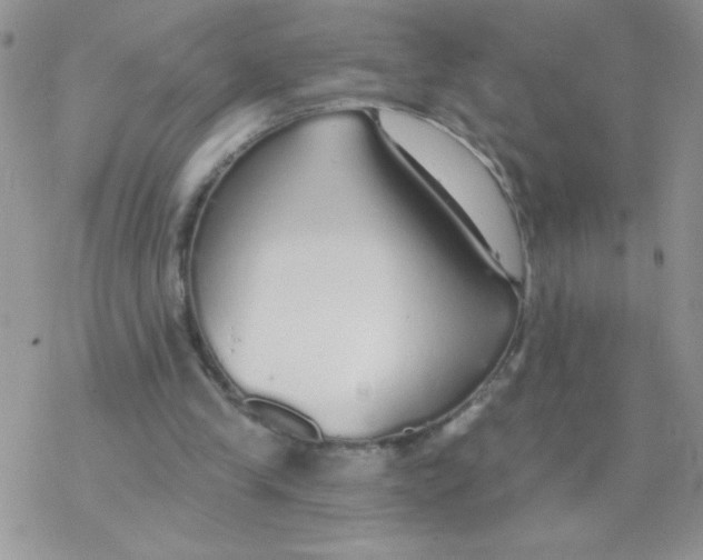 X0000077400245200611172111