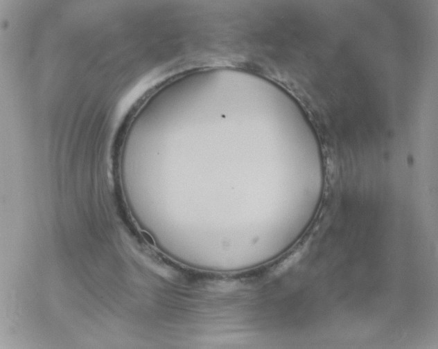 X0000077400246200611172111