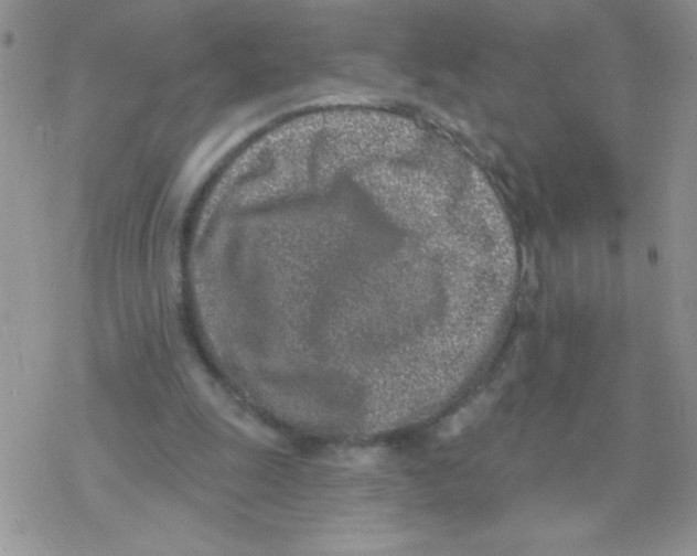 X0000077400247200611172111