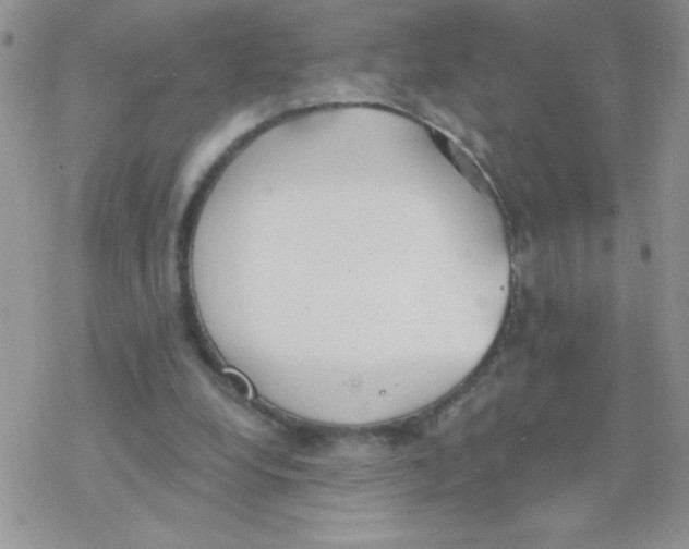 X0000077400248200611172111