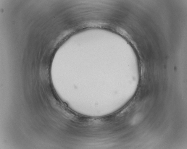 X0000077400249200611172111