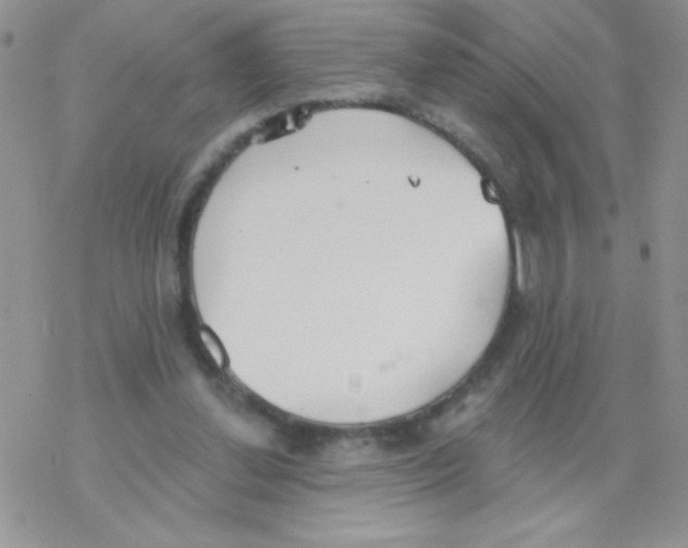 X0000077400252200611172111