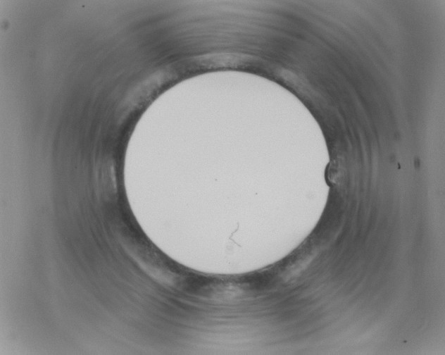 X0000077400254200611172111