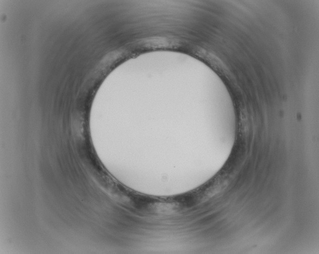 X0000077400255200611172111