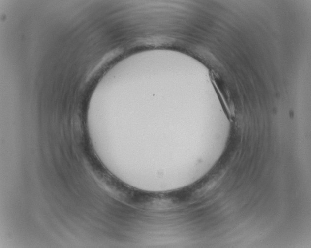 X0000077400256200611172111