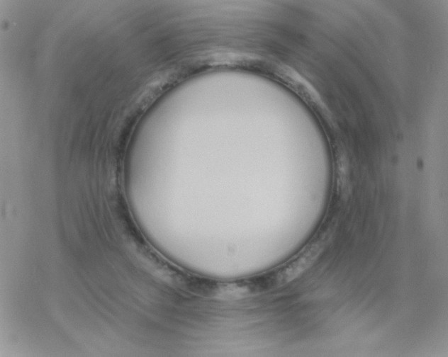 X0000077400257200611172111