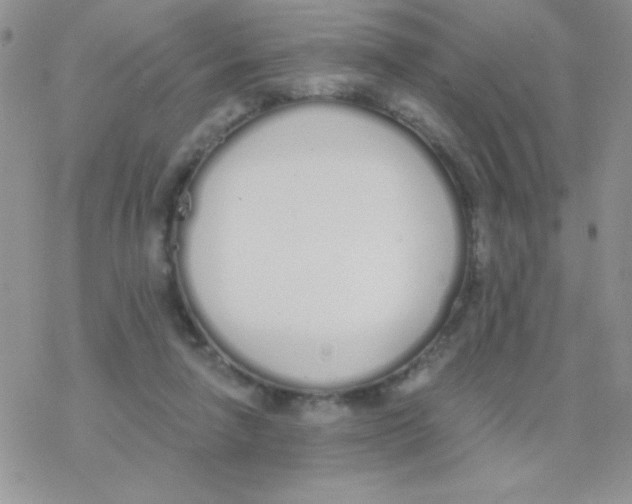 X0000077400258200611172111