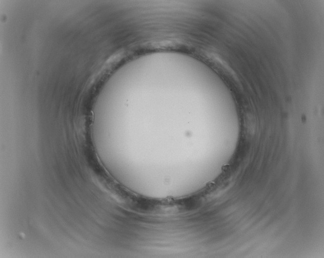 X0000077400260200611172111