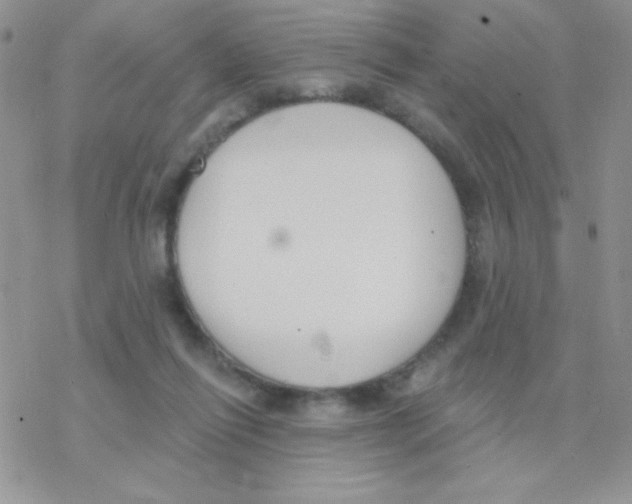 X0000077400262200611172111