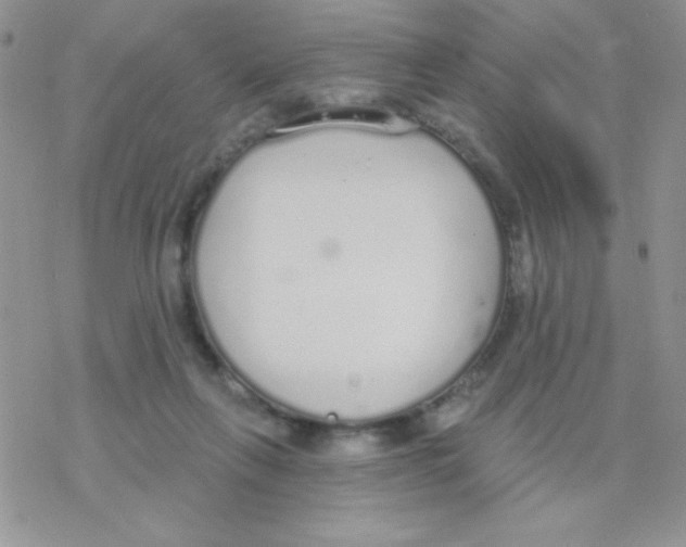 X0000077400263200611172111