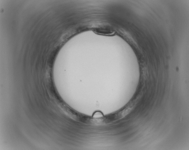 X0000077400265200611172111