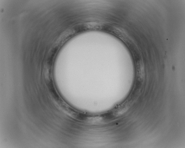 X0000077400266200611172111