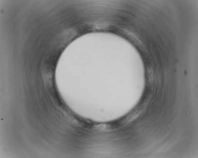 X0000077400269200611172111