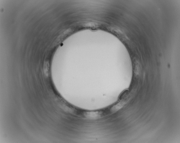 X0000077400273200611172111