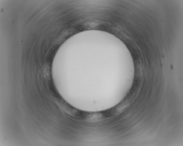 X0000077400274200611172111