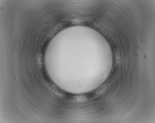 X0000077400275200611172111