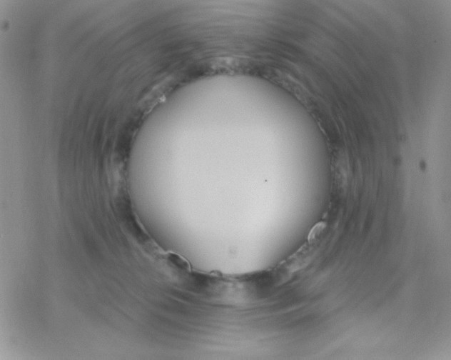 X0000077400276200611172111