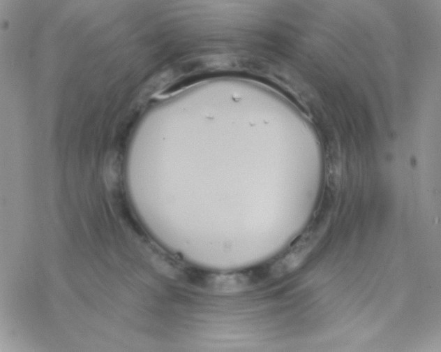 X0000077400277200611172111