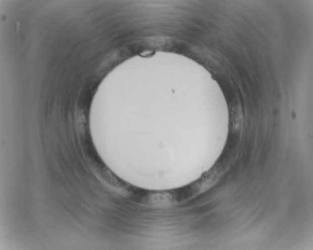 X0000077400279200611172111