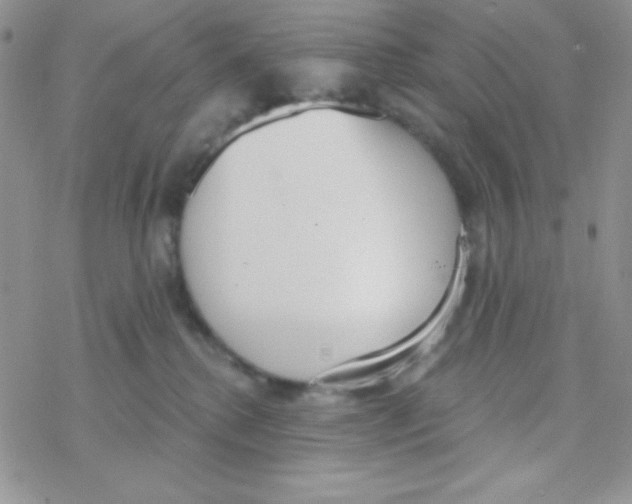 X0000077400280200611172112