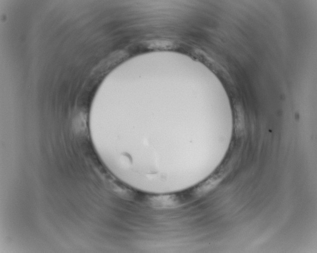 X0000077400281200611172112