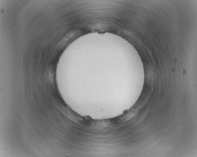 X0000077400282200611172112