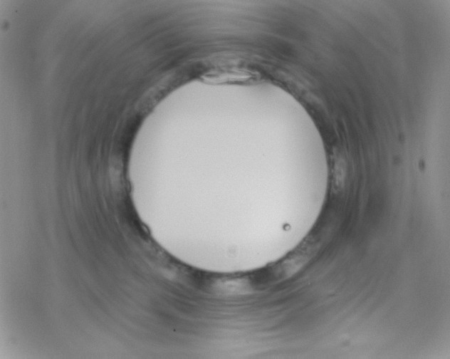 X0000077400283200611172112