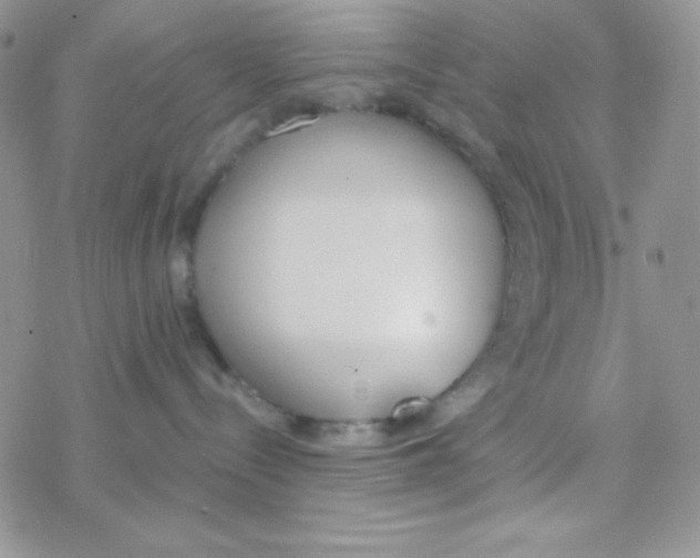 X0000077400288200611172112