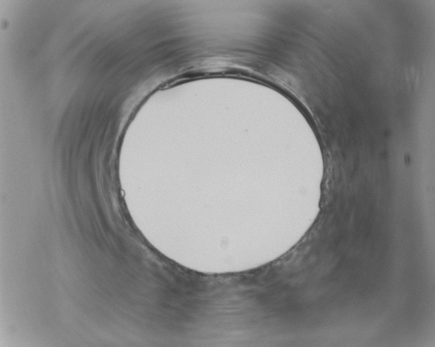 X0000077400289200611172111